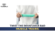 Resistance Bars